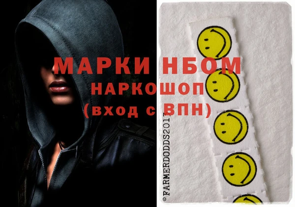 молекула духа Саяногорск