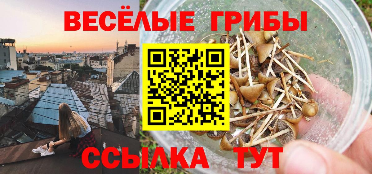 Галлюциногенные грибы MAGIC MUSHROOMS  Псилоцибиновые грибы MAGIC MUSHROOMS  Вход с VPN  Арзамас 