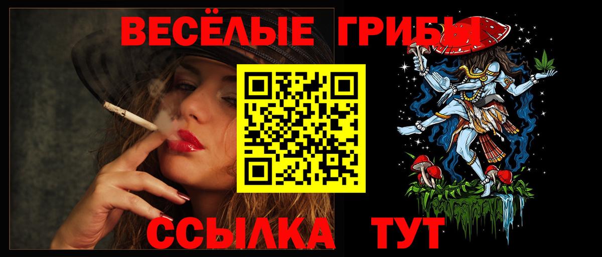 Галлюциногенные грибы ЛСД Арзамас